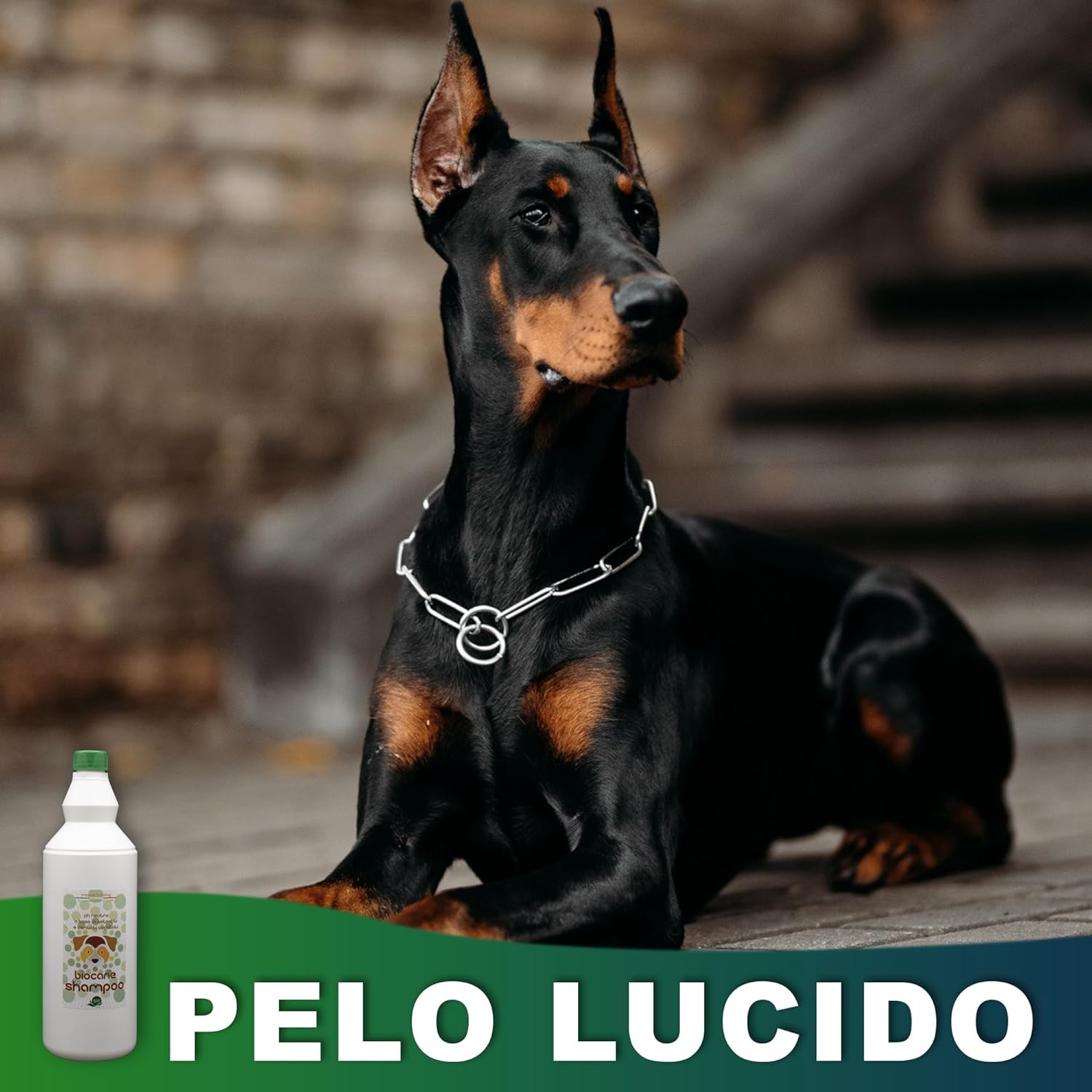 Eco Nano Green - BioCane Shampoo (1 L)