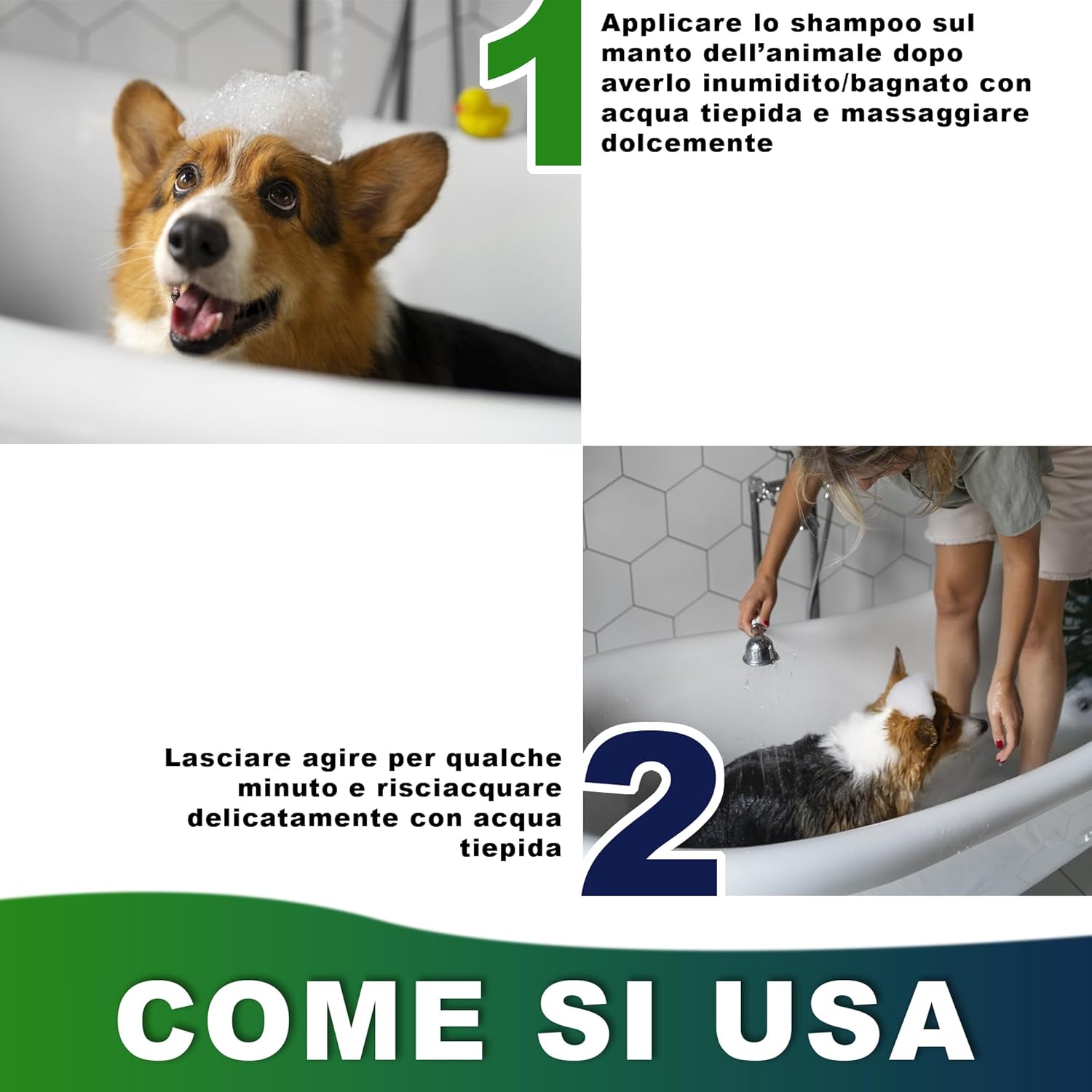 Eco Nano Green - BioCane Shampoo (1 L)