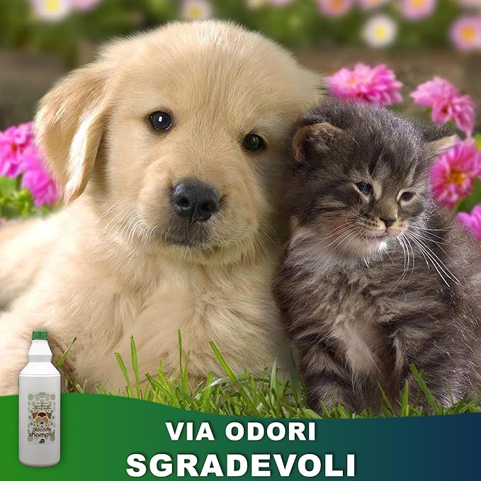 Eco Nano Green - BioCane Shampoo (1 L)