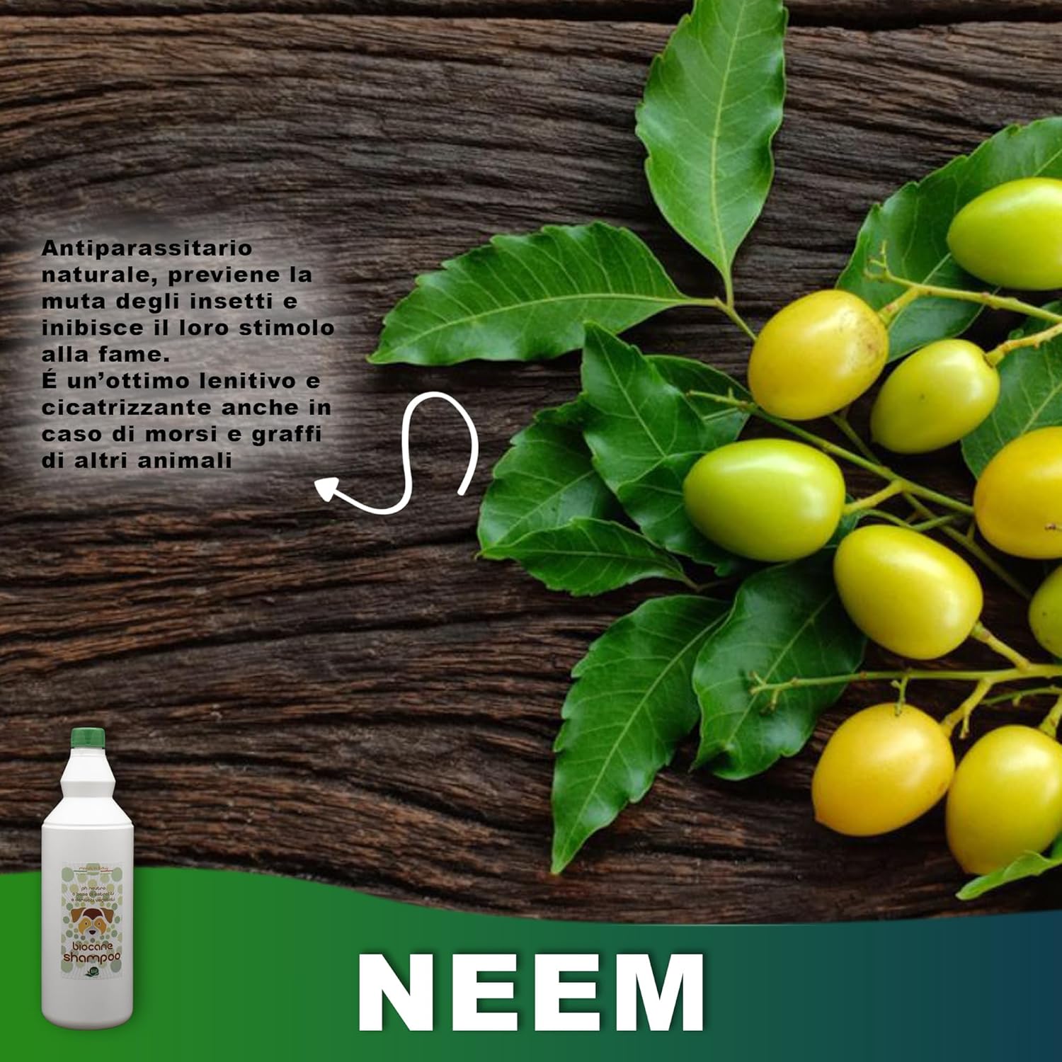 Eco Nano Green - BioCane Shampoo (1 L)