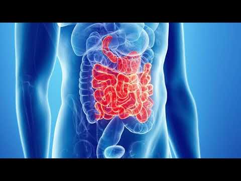 Prometek - HARMONIA® | Nutraceutico