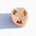 Spugna Di Luffa