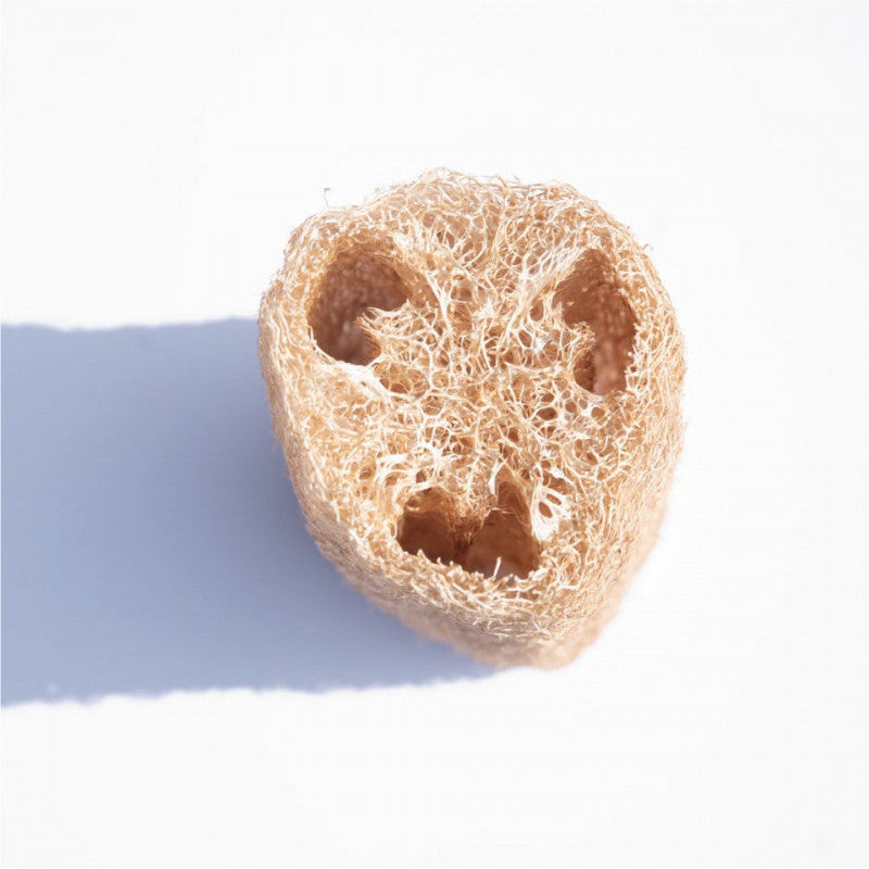 Spugna Di Luffa